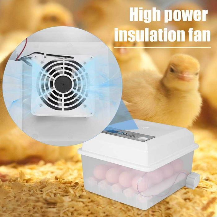Incubadora de ovos automática 16 ovos64729896926850125