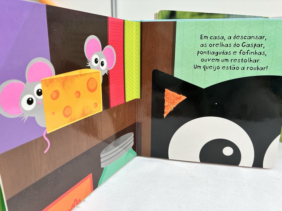 Livros Toca e Sente com texturas Caezinhoa e Gato Gaspar