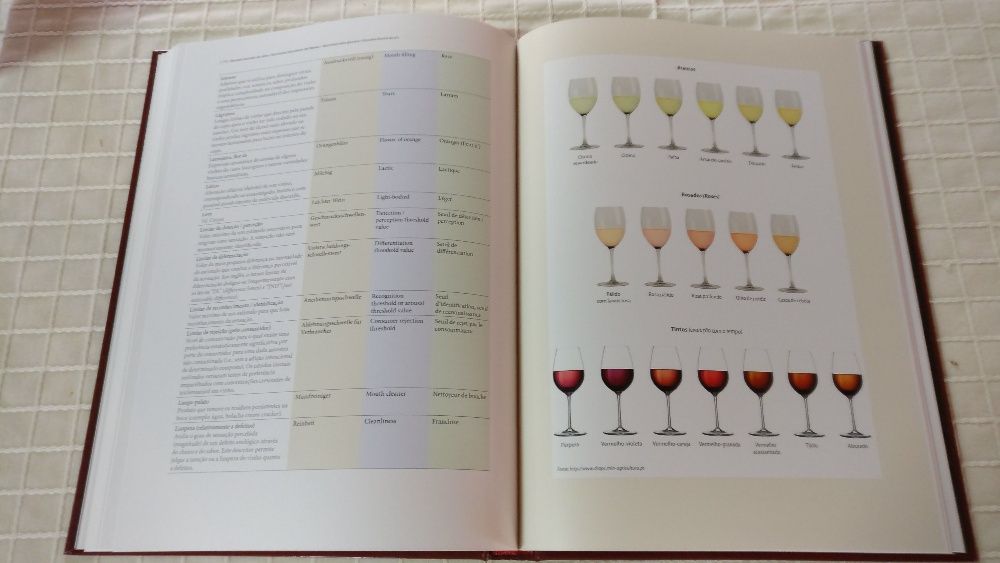 Glossário Ilustrado do Vinho
