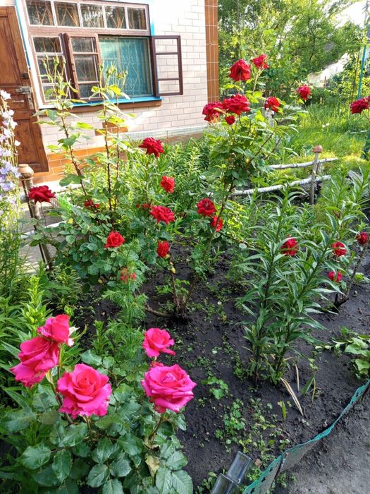 Дача з грубою, великим каміном та банею