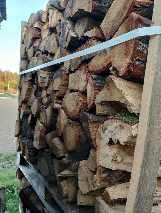 Dąb opałowy kominkowy