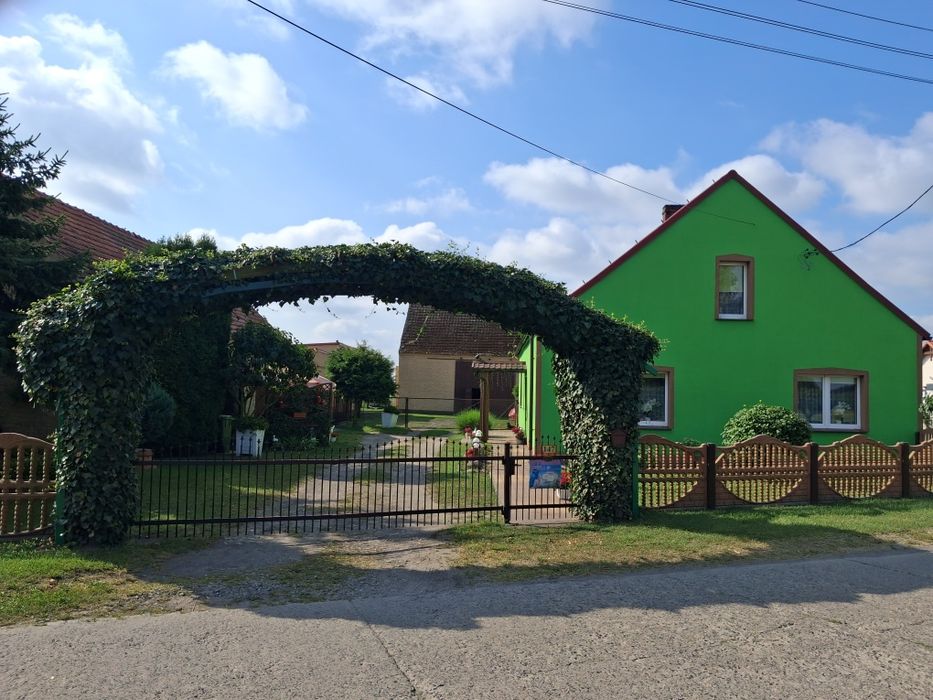 Dom z garażami i ogrodem