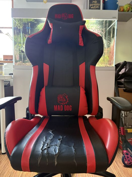 Fotel Mad-dog czerwono-czarny