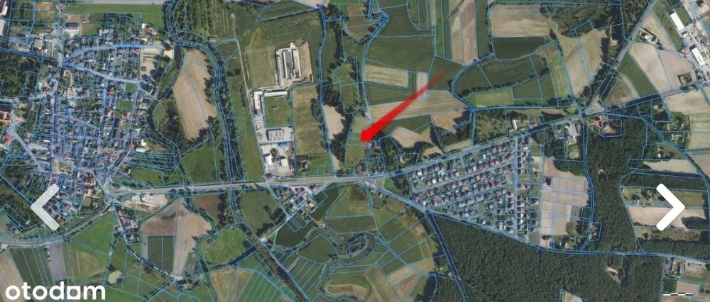 Działka budowlana Palaty - Grabów nad Prosną - Widok 3