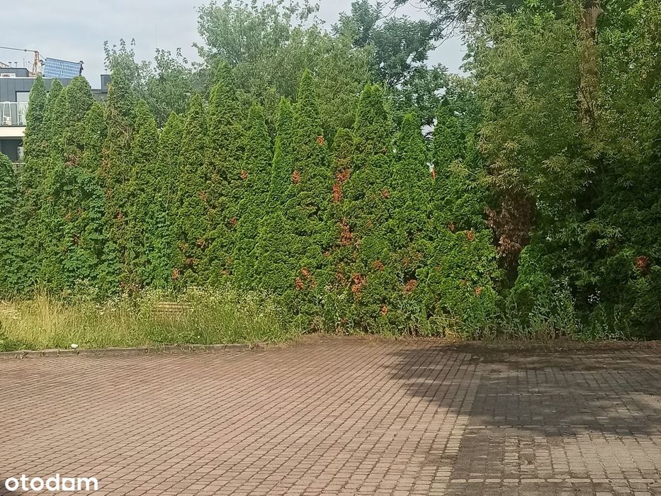 LOKAL biurowo-usługowy z parkingiem