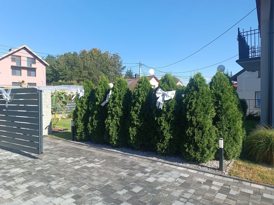 Kokardy dekoracyjne z pianki niebieskie
