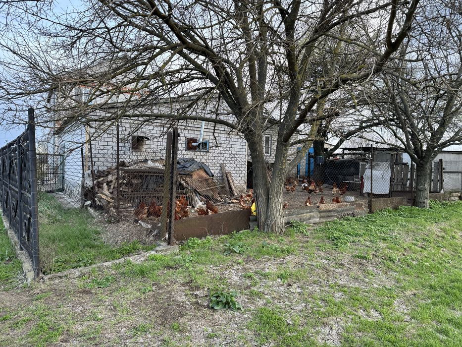 Продажа Будинок Томаківка