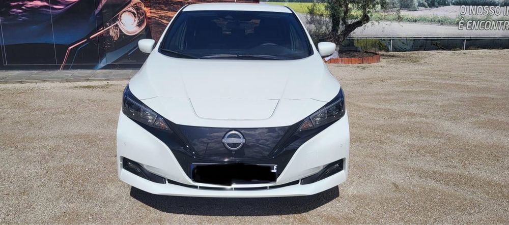 Nissan Leaf Tvde