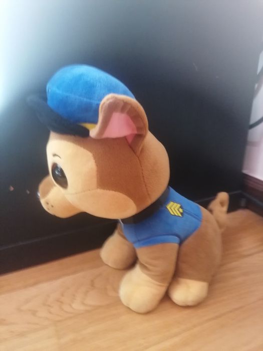 Patrulha pata ortes grátis