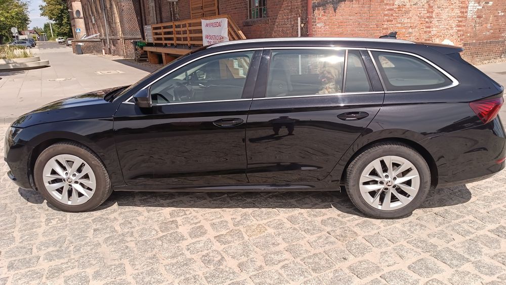 Skoda Octavia Automat, Virtual, LED