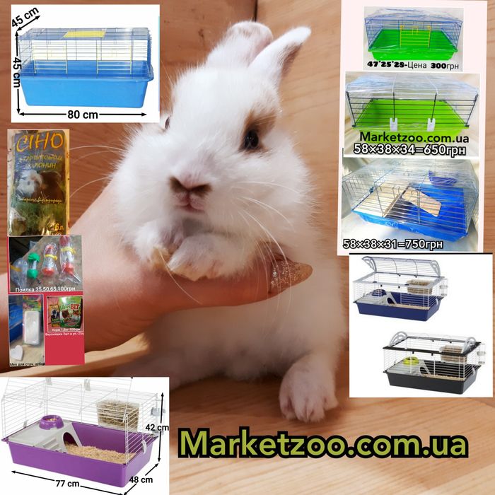 Карликовые миниатюрные декорат.торчеухие и вислоухие мини кролики