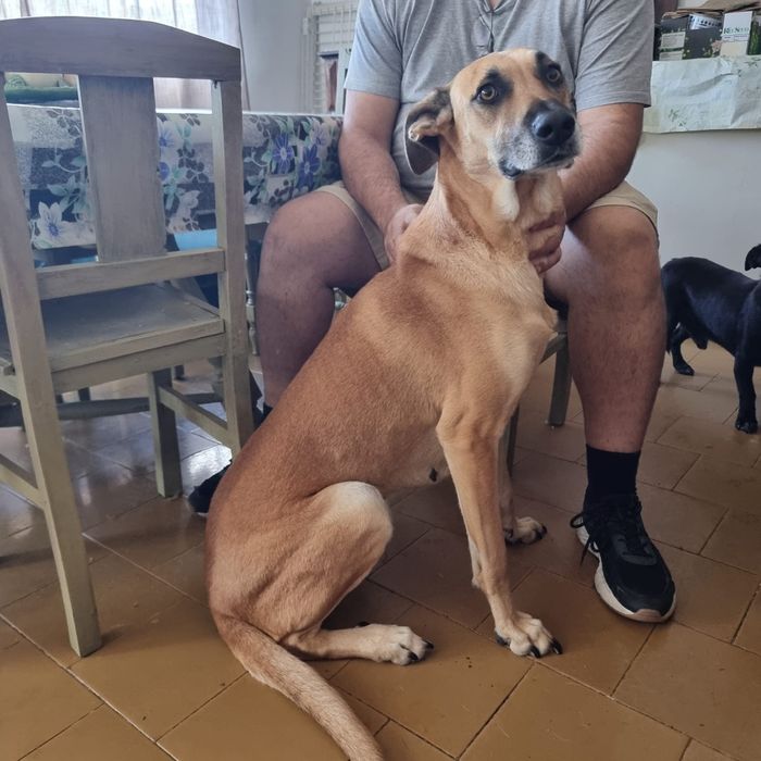 Menina jovem adulta só para quem me amar verdadeiramente