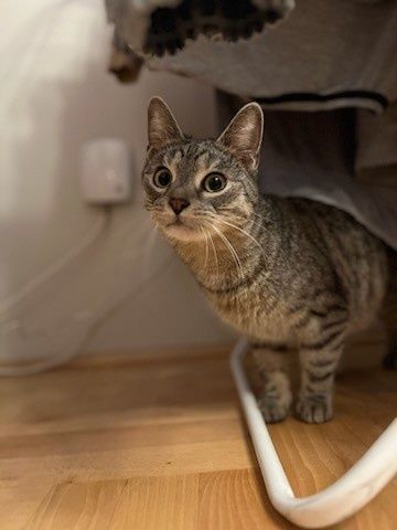 Przytulasek cudowny chłopak około trzech lat