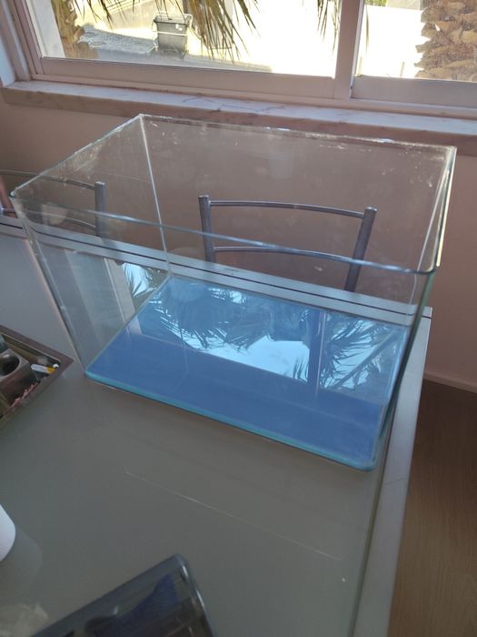 Aquário, bomba mochila, aquecedor, lâmpada, peixesda