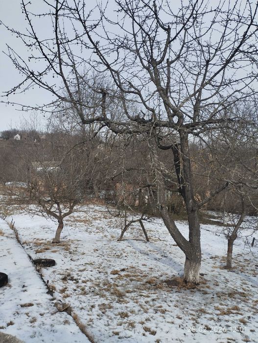 Затишна дача на 7 сотках – ідеальне місце для відпочинку