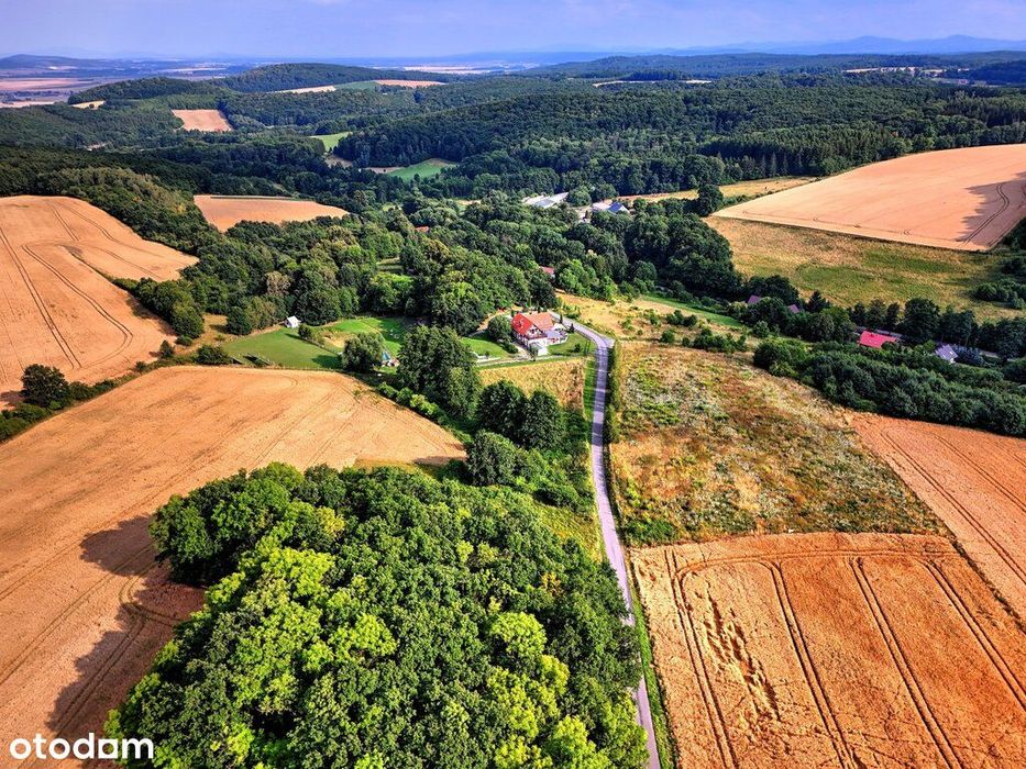 Myślinów | okolice Jawora