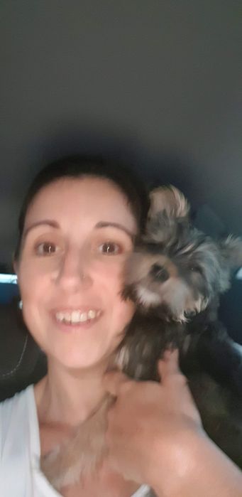 Pet Sitting de Confiança – Cuido do seu patudo com amor e segurança – Disponível já!