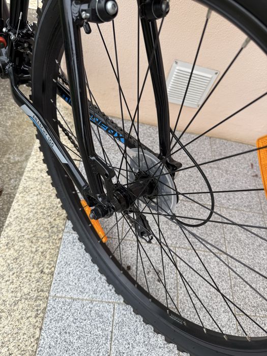 Bicicleta Muddyfox Anarchy 100