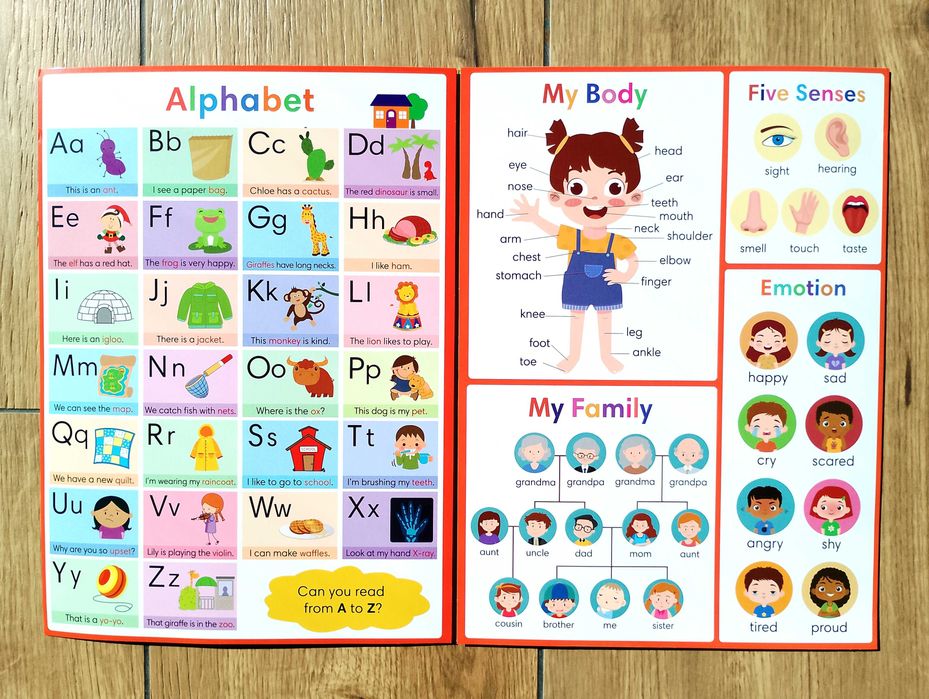 Edukacyjny plakat A4 - My First Learning - Angielski dla dzieci