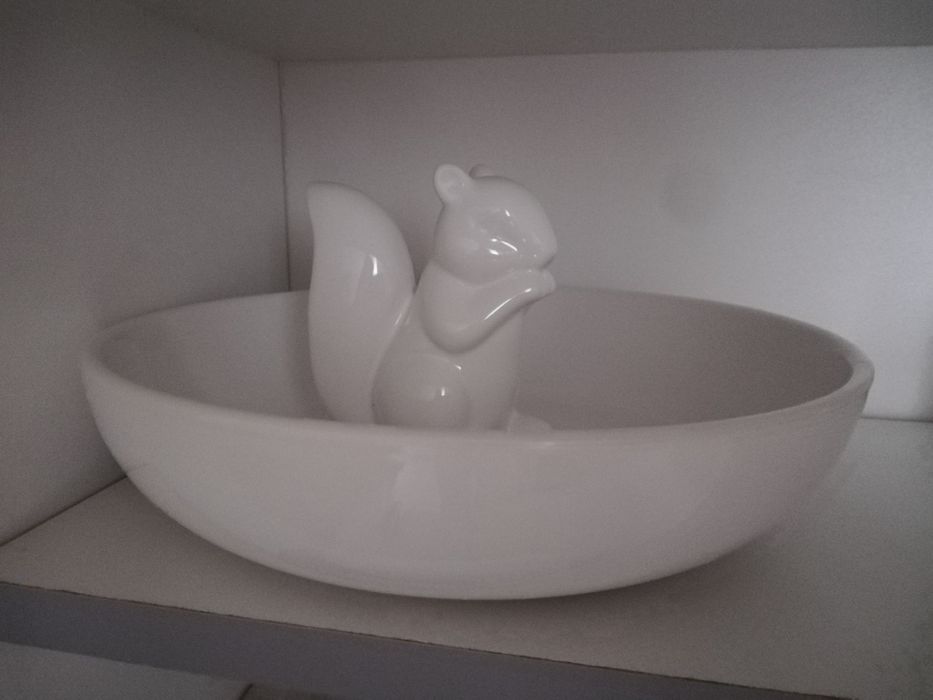 Prato com esquilo437357189667246082