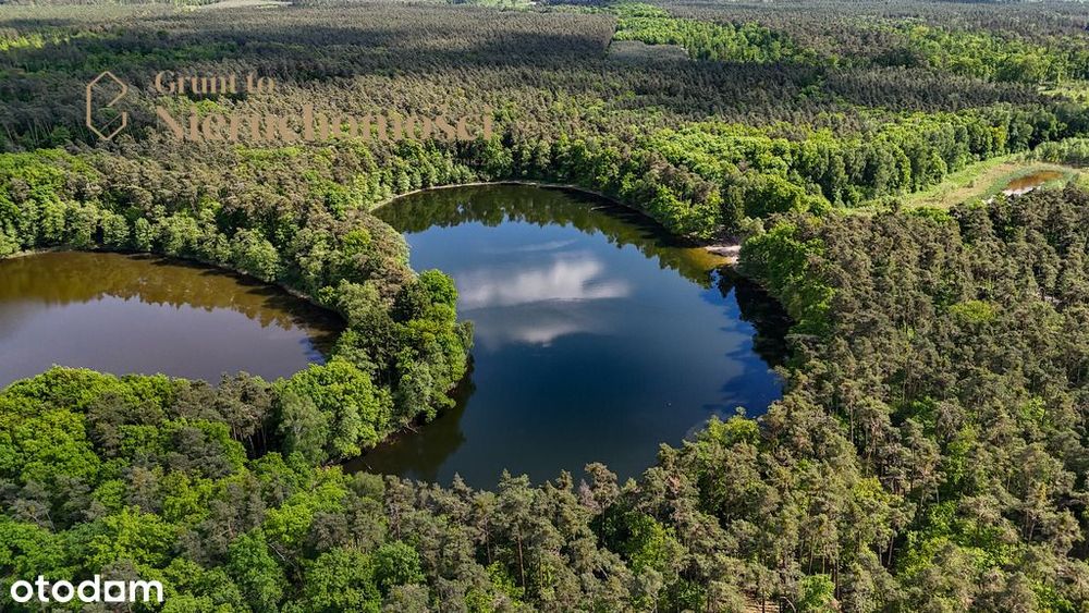 Działka budowlana ze ścianą parku krajobrazowego