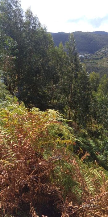 A 2kms dos Passadiços DO PAIVA.