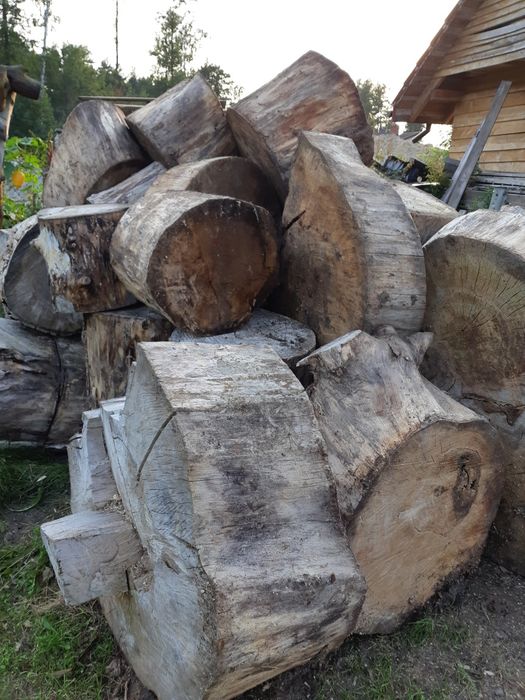 Pniaki topola osika olcha grube 2 zł za 1cm średnicy