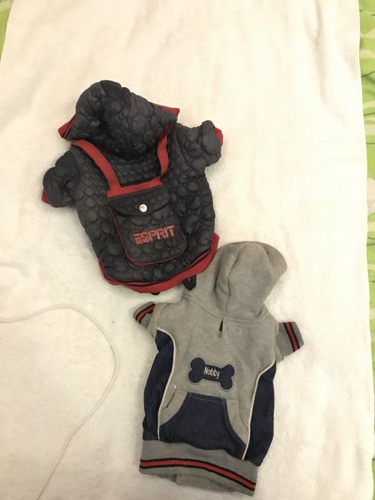 Костюмчики на собачку !Б/у