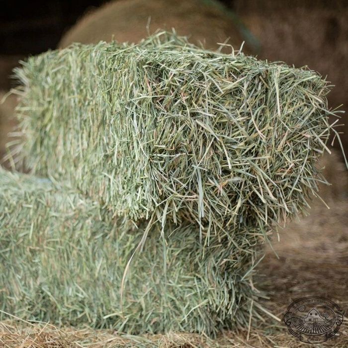 Siano w kostkach | zbiory czerwiec 2025 | Bez deszczu