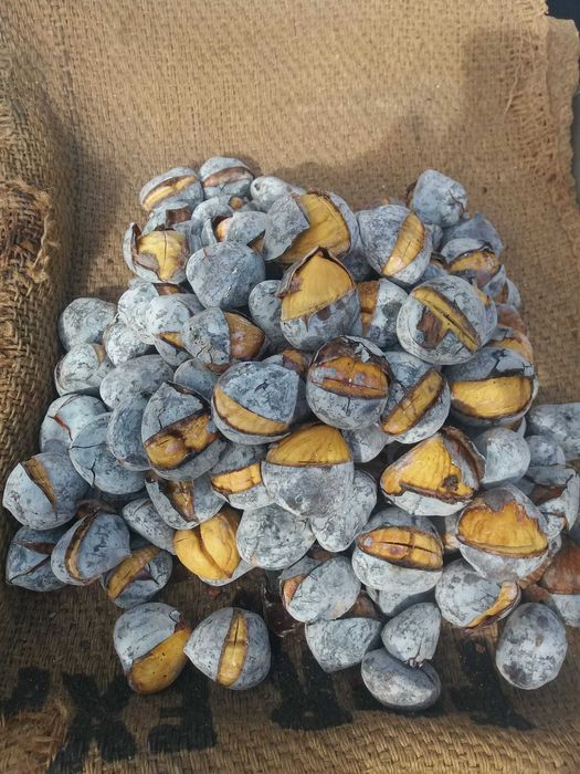 Carrinho de Castanhas assadas 100% inox