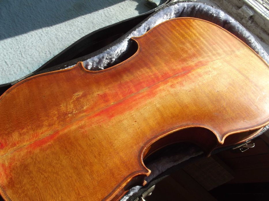 Altówka 407 markowa