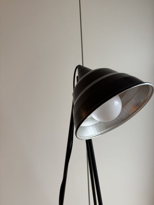 Candeeiro preto Habitat