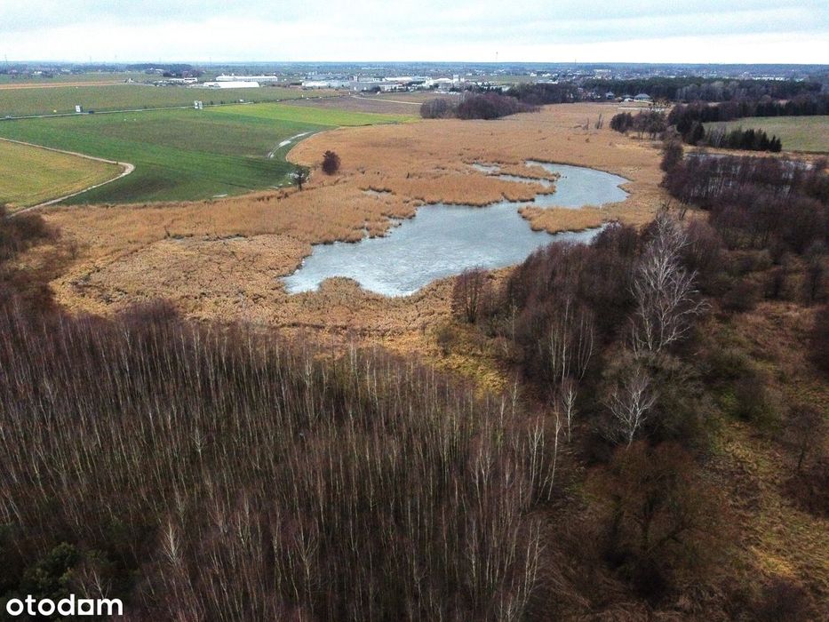 Syndyk sprzeda udział 1/2 nieruchomości gruntowej, Mrowino