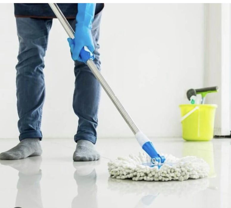 Limpeza de obras edifícios;,Pintura,Capoto Barramento etc,