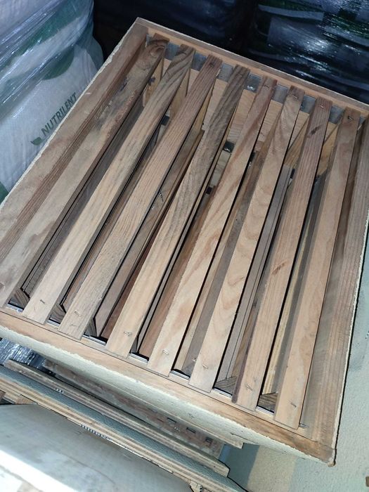 1/2 Alça Langstroth sem cera com 8 quadros