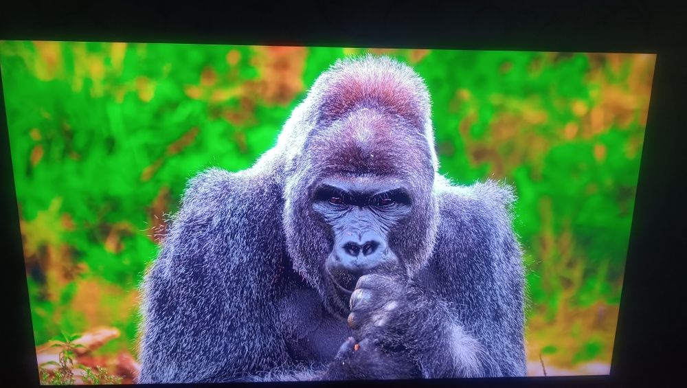 8K Qled Samsung QE55Q700T Smart WI-FI T2S2 Bluetooth HDR Dolby Atmos