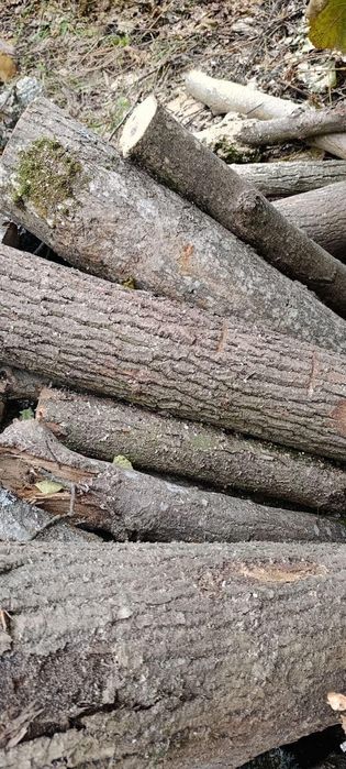 Дрова дубові та соснові метрові в Борисполі