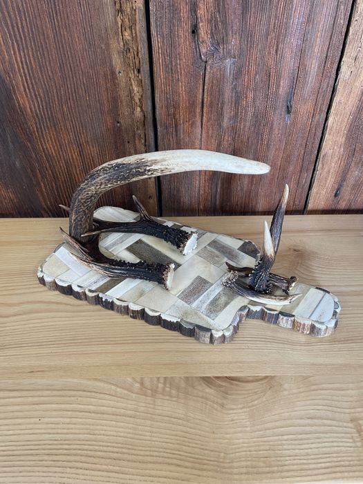 Stojak na wino poroże jeleń łoś