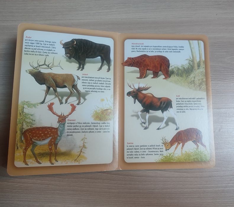 Atlas zwierząt Polski dla dzieci