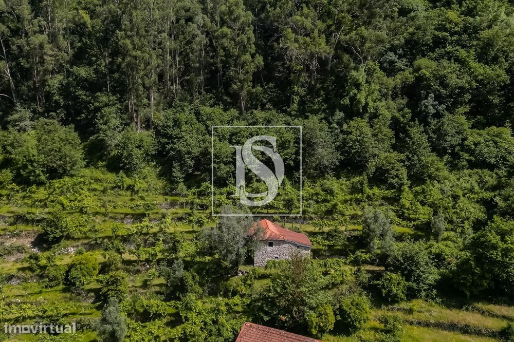 Moradia para Restaurar T2 Venda em Carvalheira,Terras de Bouro