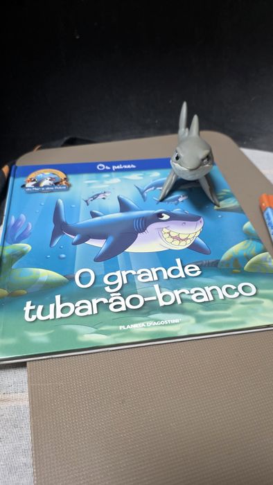 Livros com figuras