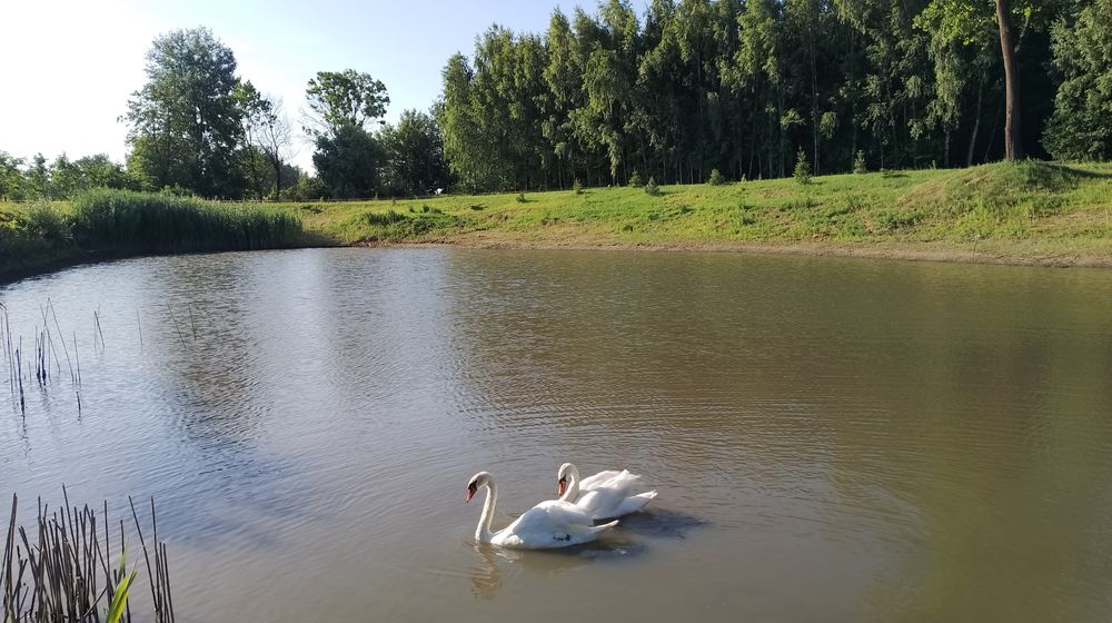 Pokoje gościnne, Agroturystyka / Radymno.