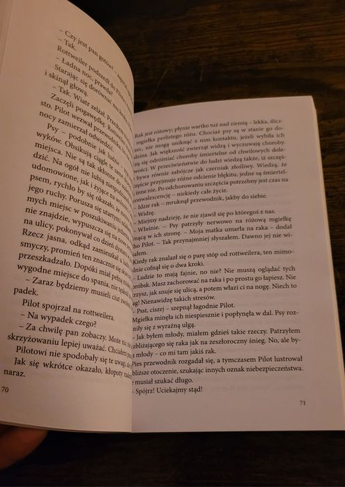 Jonathan Carroll - Zakochany duch