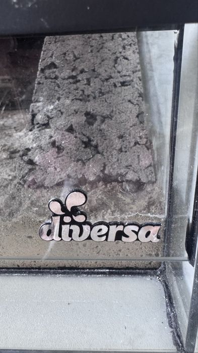 Terrarium Diversa czarne