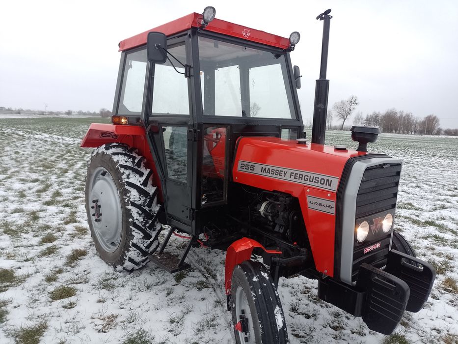 Massey Ferguson 255 Ursus !!!
