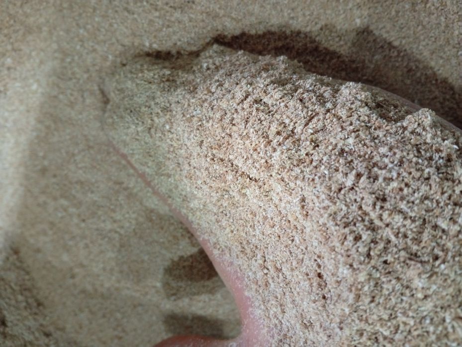 Висівка пшенична