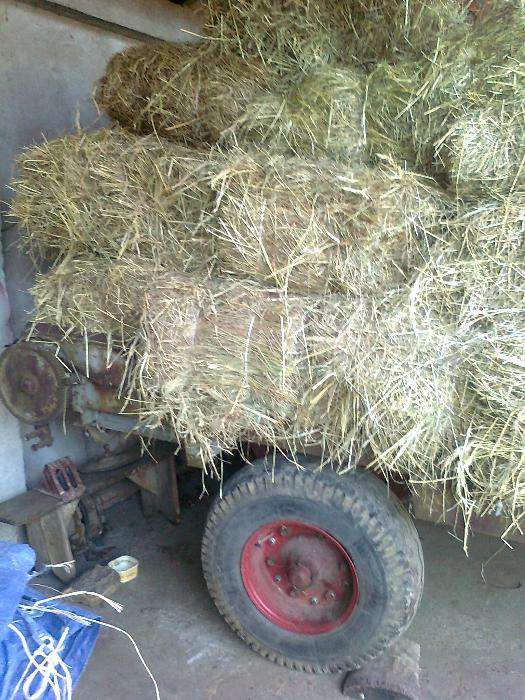 siano kostka z dowozem