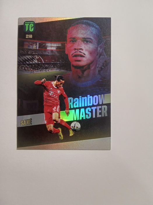8 Kart Panini Top Class