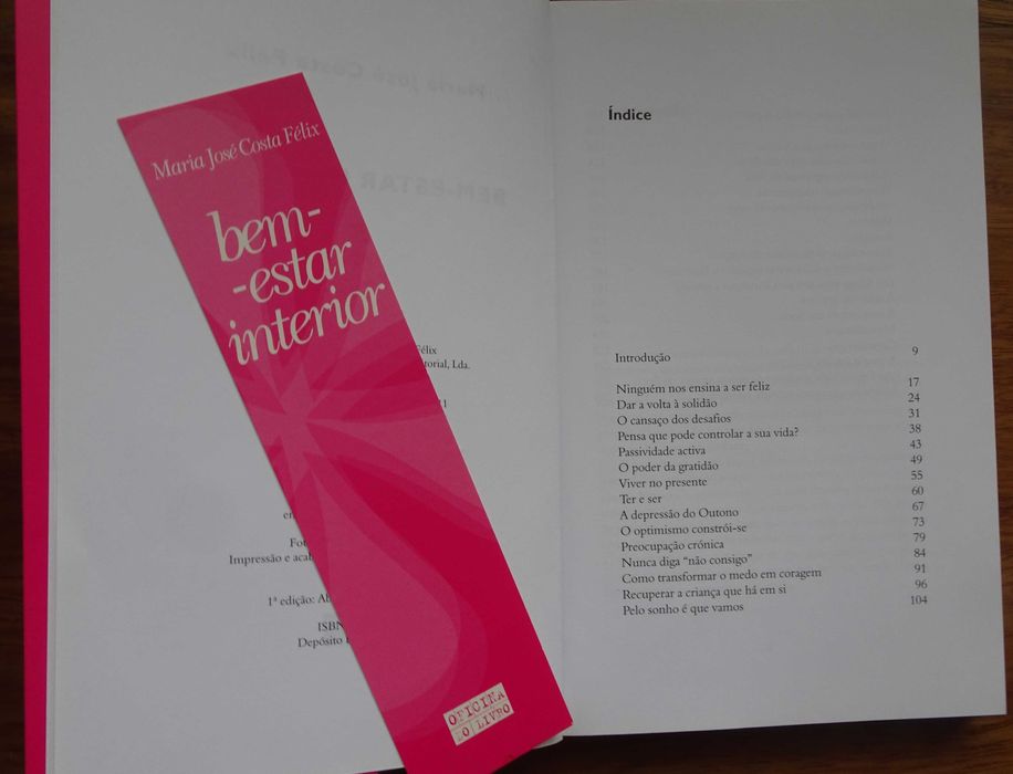 Bem-Estar Interior de Maria José Costa Félix