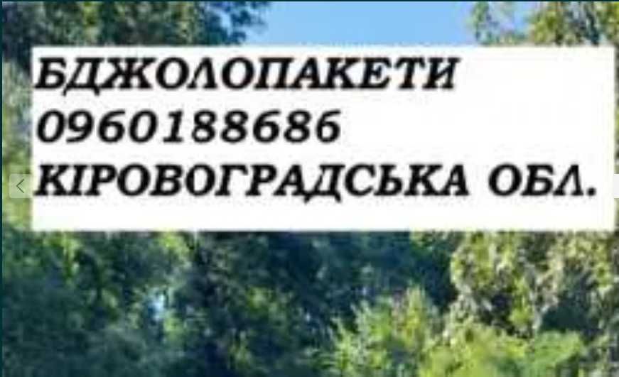 Продам пчелопакети, бджолопакети 2025 рік